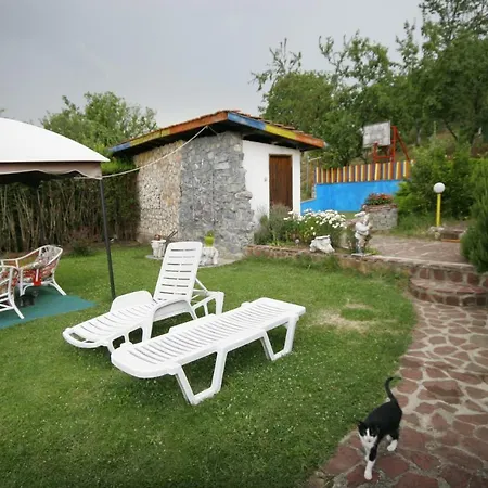 Chuchi 1 * Zlatna Panega